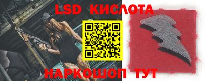 индика Рыбинск