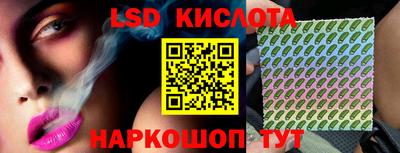 индика Рыбинск