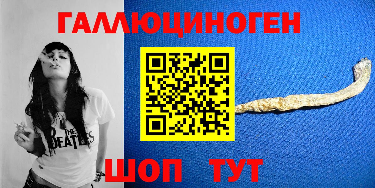 Псилоцибиновые грибы Psilocybe Сланцы