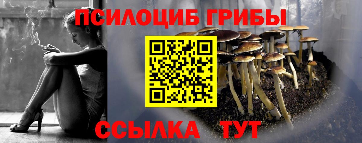 Галлюциногенные грибы мухоморы  Вход с VPN  Сланцы  Псилоцибиновые грибы GOLDEN TEACHER 